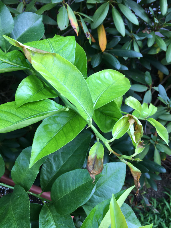 11478066-FF8A-4172-B441-97FEC63B8D38