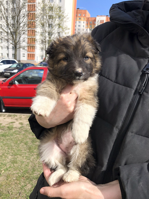 AAA05D5F-FA93-490E-B16D-DE8DB59DAC51