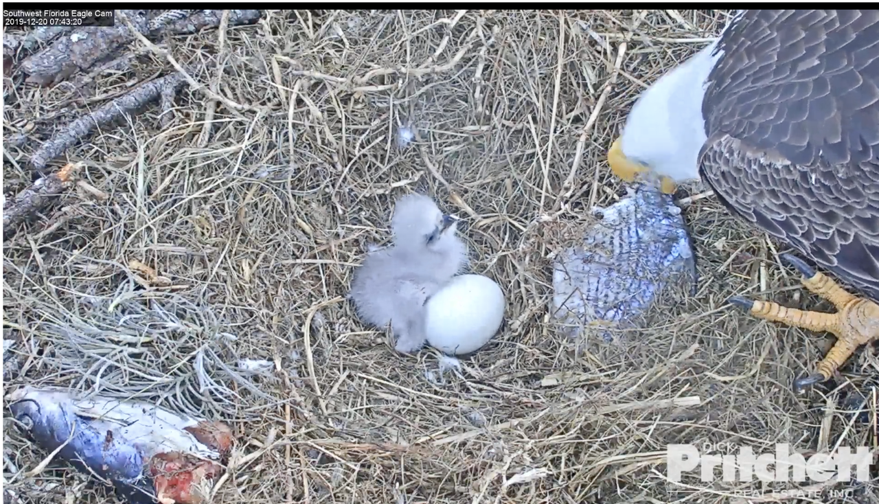 Zuid-West Florida 20191220-02 om 13.59.39