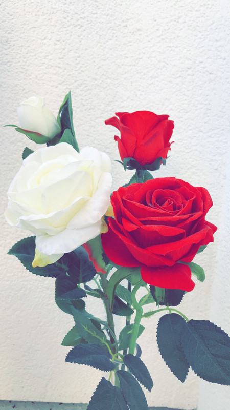 12FC8157-3C03-42FE-9279-D22DB95661C8