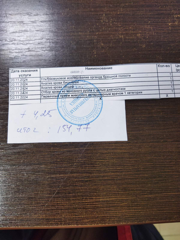 изображение_viber_2024-11-20_19-36-17-834