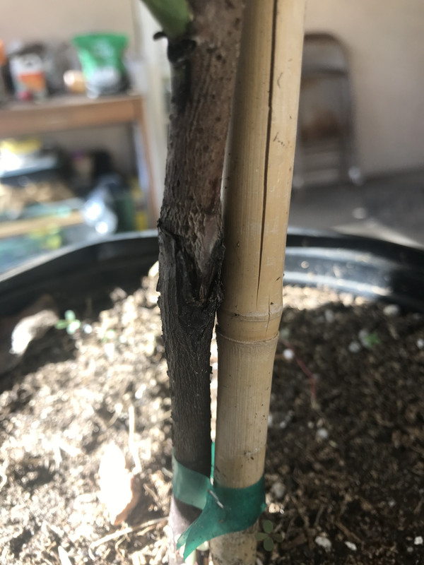 F4F9EE82-7231-43AB-9DBD-A0983CFB6771