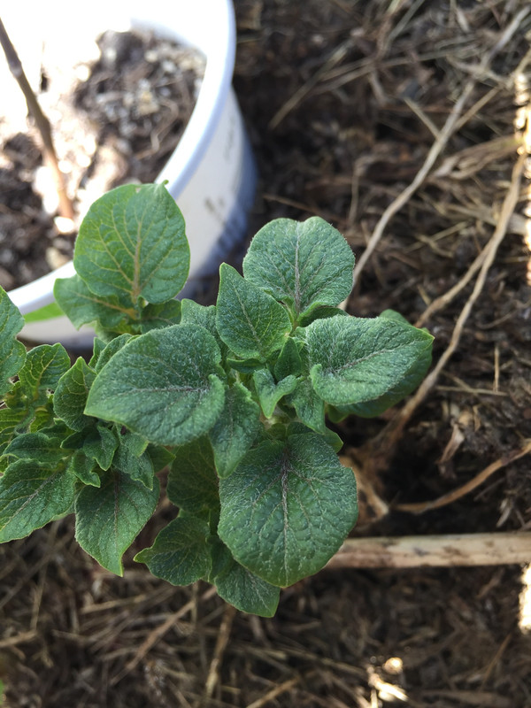 6FEA4EBE-B474-4B1A-8B6B-55F0A1FE4EA8