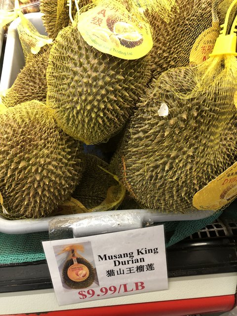 [Image: 07-D86-C37-DA53-4746-A3-E0-DBA50-B14-B7-D1.jpg]