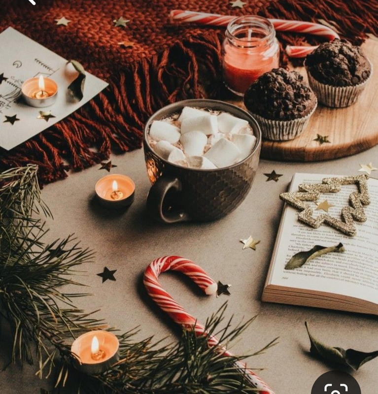 Screenshot_20231204_213421_Pinterest