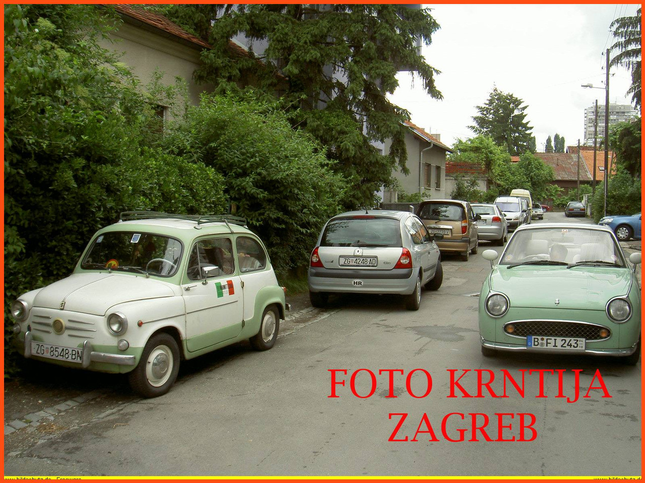 PICT8869