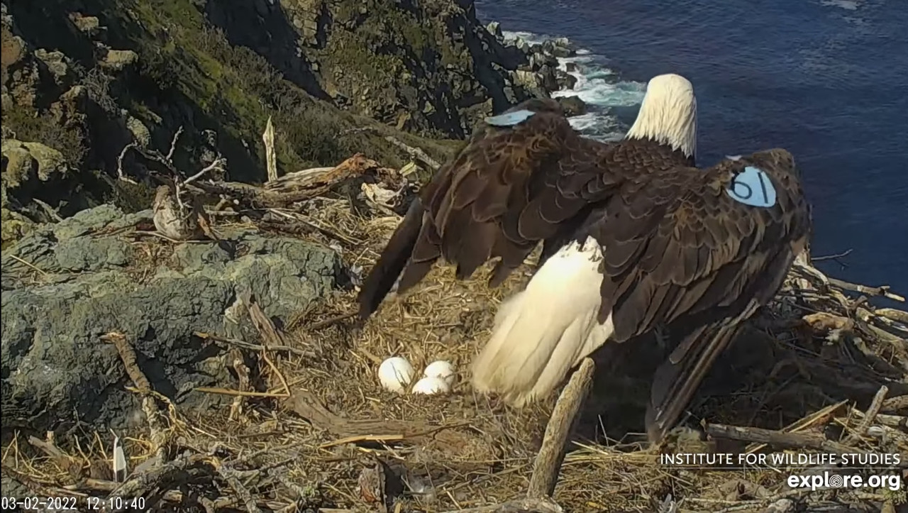 3D3F73A4-ADB7-4E44-BD79-97E068B0E54E