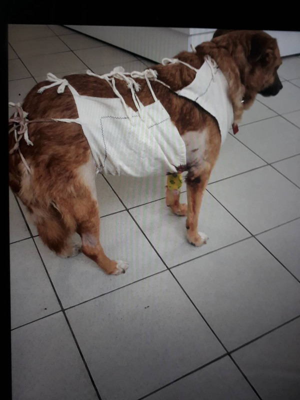 9D7FF276-D4A5-462F-B668-08BFEE657054