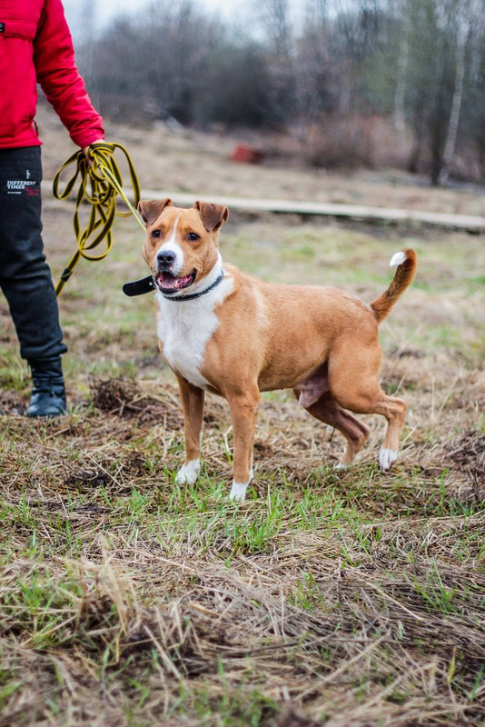 без имени-1208