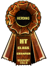 https://i.postimg.cc/qRzD301c/BEAUMONT-HERDING-CLASS.png