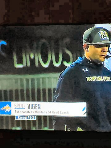 cat-coach-vigen.jpg