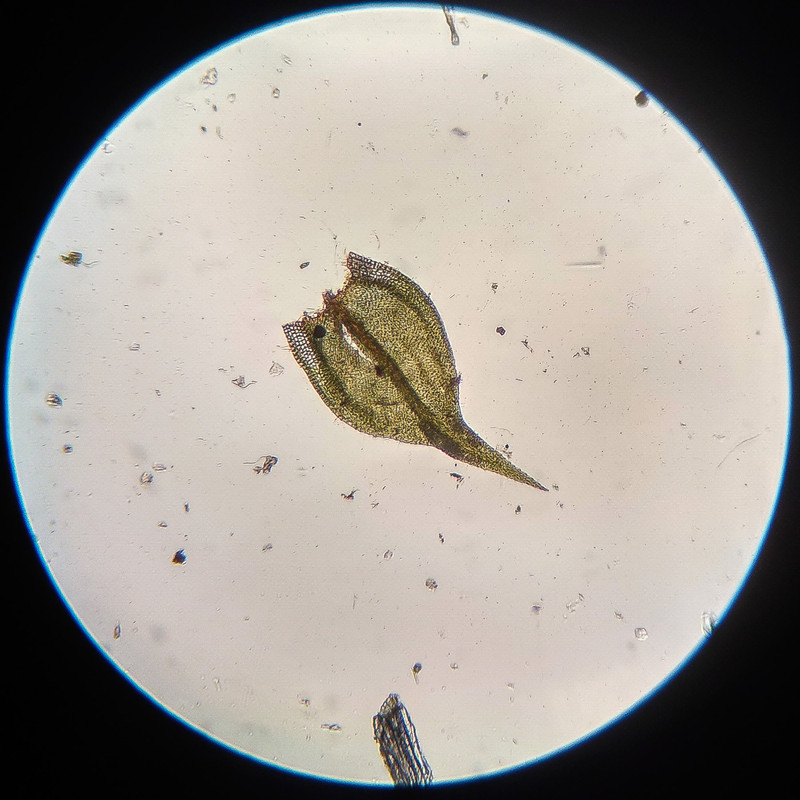 IMG 20250615 221100 HDR