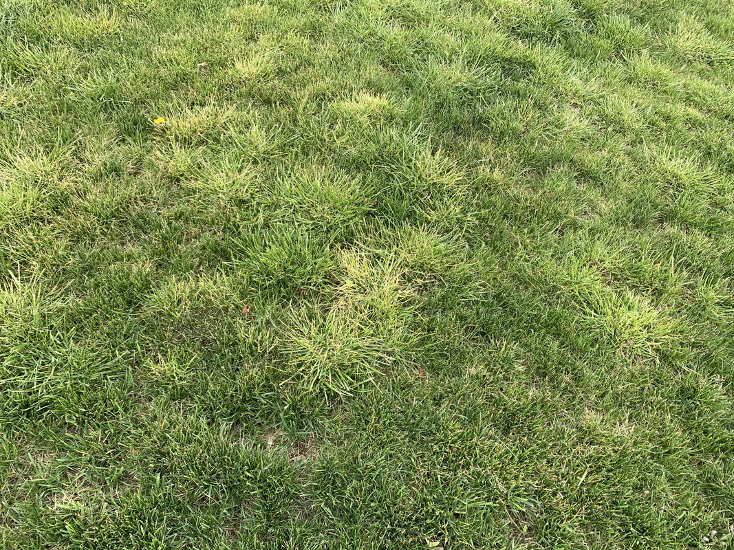 20200419_214752920_iOS