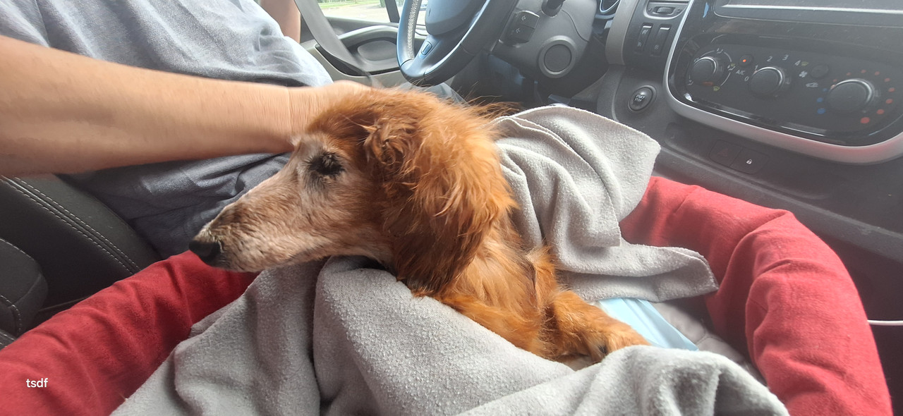 [Image: 20250903-171705.jpg]