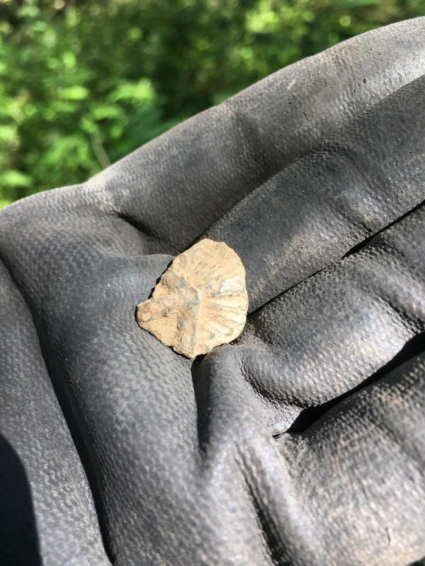 F13DD780-8CF4-4532-98A6-002588E778BD