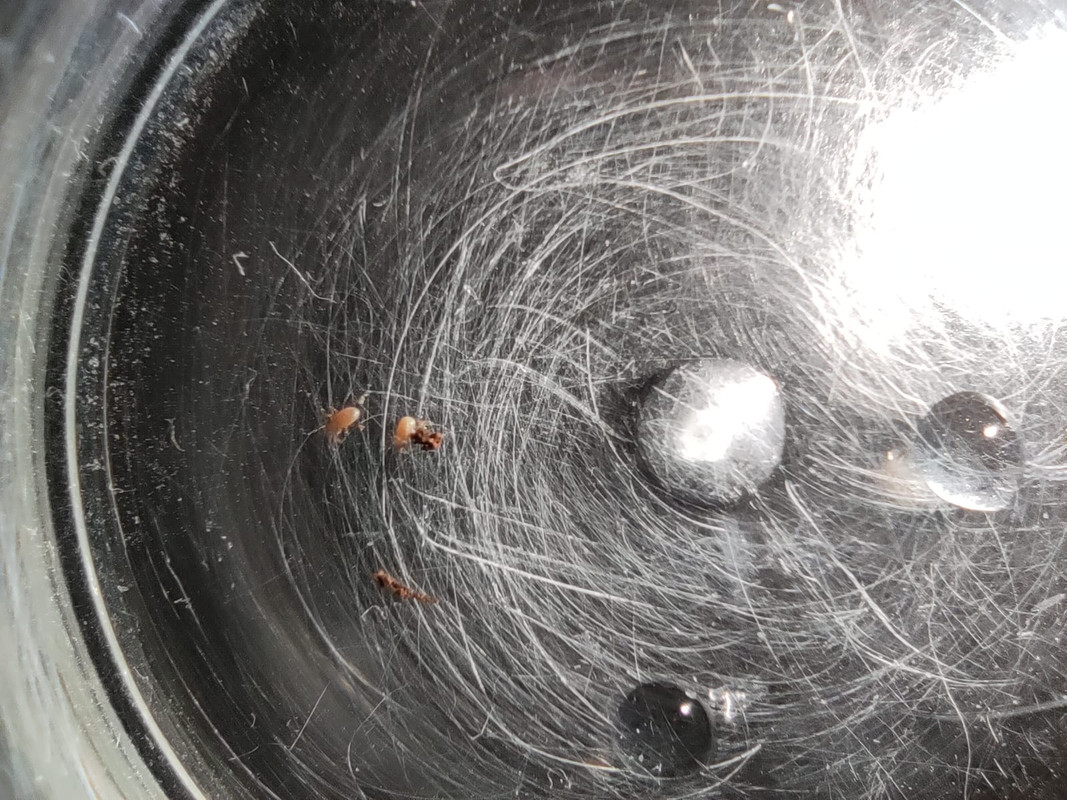 WhatsApp Image 2020-09-25 at 21.29.52(5)