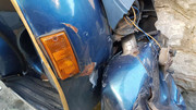 Compress-20230125-074349-9381