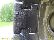 IMG-7568