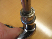 IMG-5970.jpg