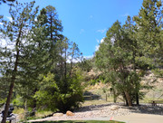 IMG-20250815-145525932