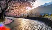 reflect-3