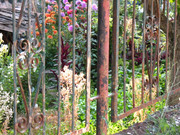 ADP Free party Balscha 2009 042