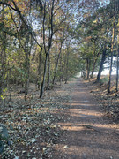 IMG-6338