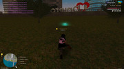 IMG-7549