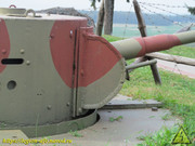 IMG-3646