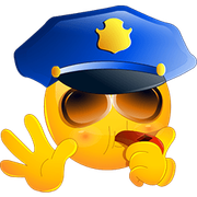 87-police-stop.png