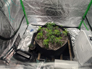 4. PXL_20240805_231631391.MP