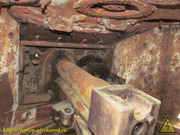 IMG-6406