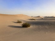 220122_Primus_Demo-DeathValley_CC_i101421