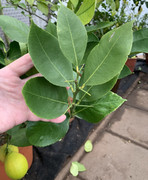 1CBE6722-142E-436B-9F89-0344B3F69D92