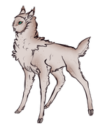 fluff