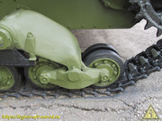 IMG-8872