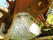 DSCN7592
