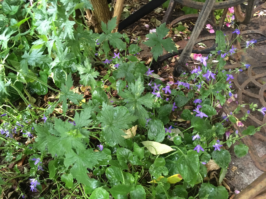 3F97973D-CB05-4761-A9E8-5CB92A042AA4