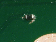 2020 1006 153653 020