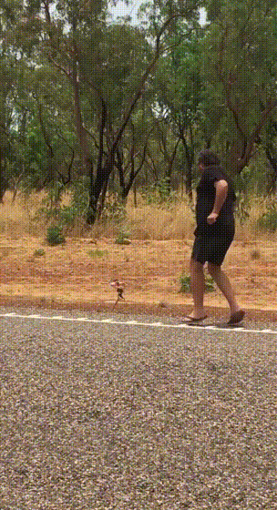 B69.gif