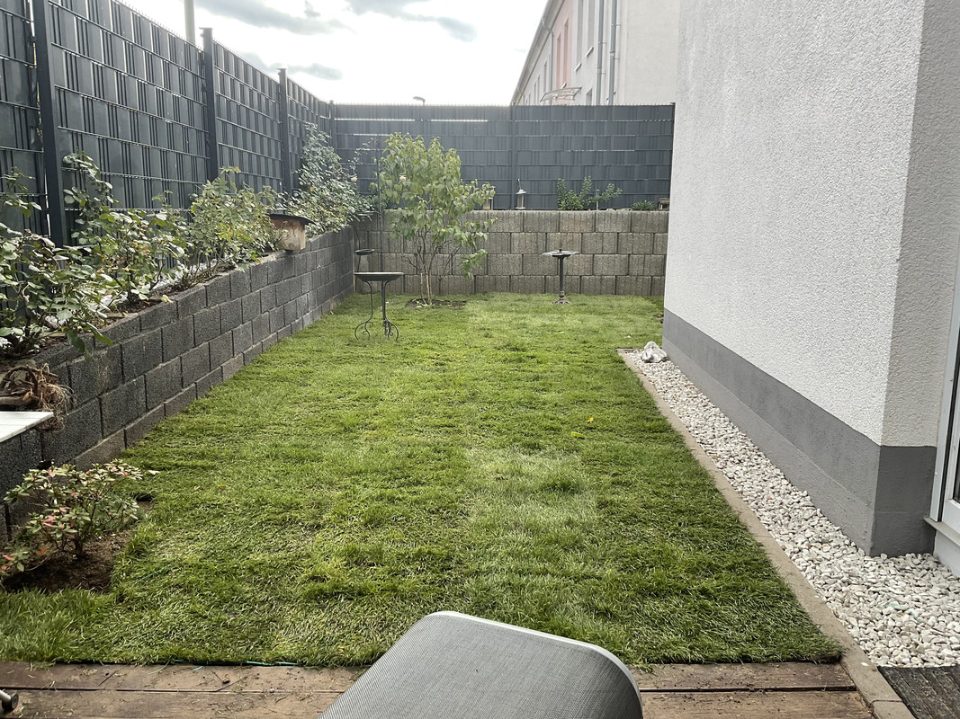 9A074ED3-A02C-4746-B670-510A80D11EDA