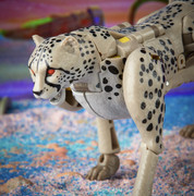 03-Legacy-Nightprowler