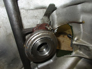 IMG-4411.jpg