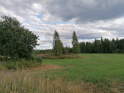 Kuva