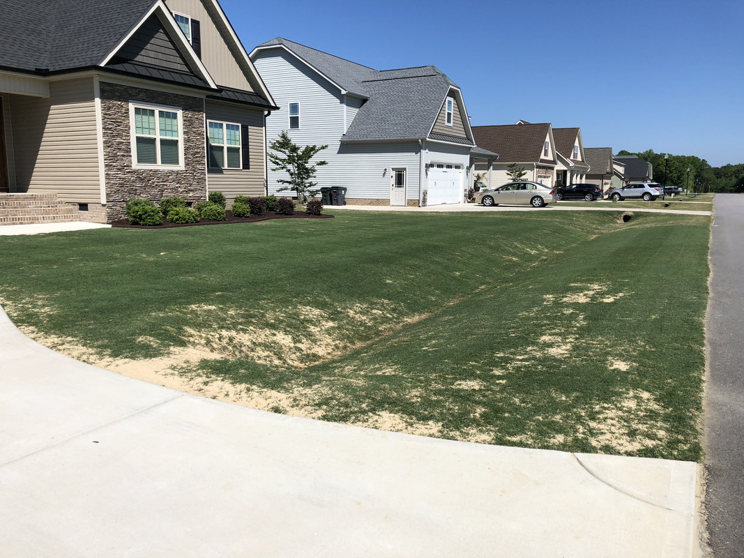 0C1A7297-3891-446F-AFA7-367192119B01