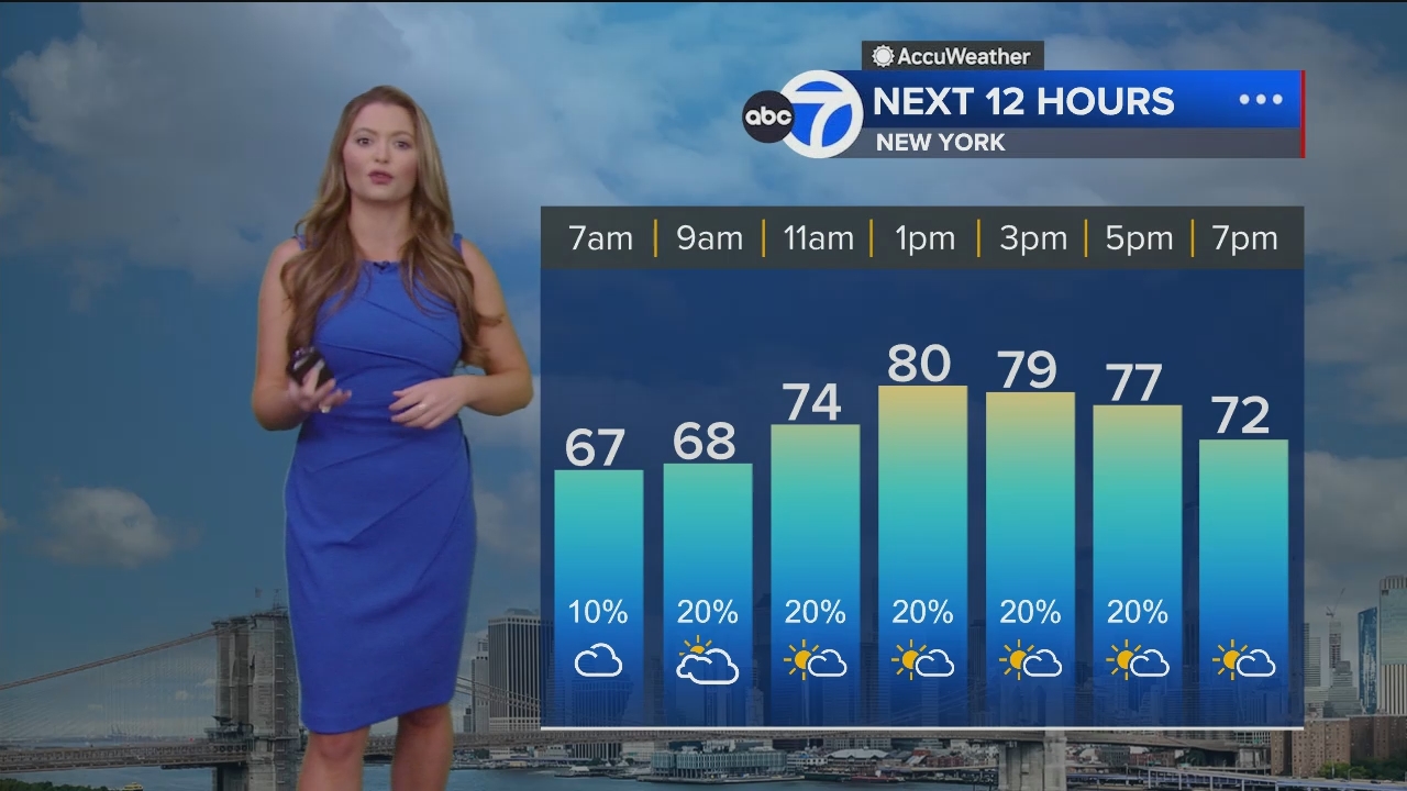 Eyewitness News Sunday Morning_20240526_11001230.ts_snapshot_00.22.18.108