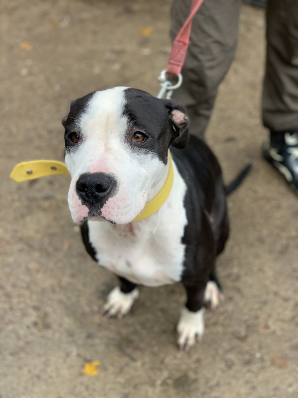 8F4BB4F1-2EDE-4125-A2BD-39F35DF06DA2