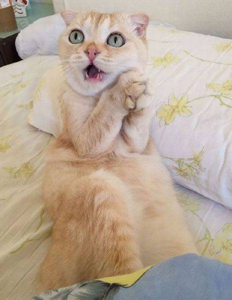 Oh-Gladys-That-is-awsome