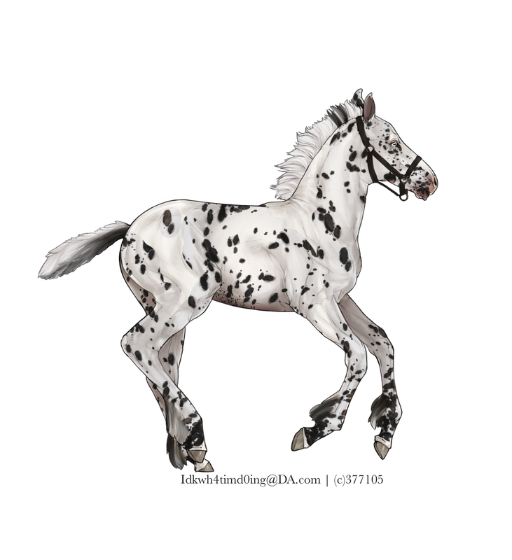 5-E60-D01-E-61-BD-465-C-AC55-318445-A8863-F.png