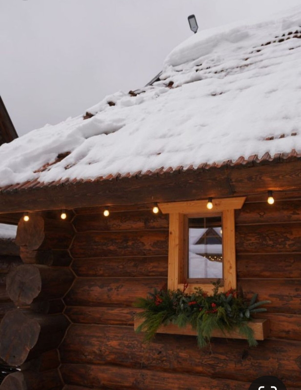 Screenshot_20231123_204814_Pinterest